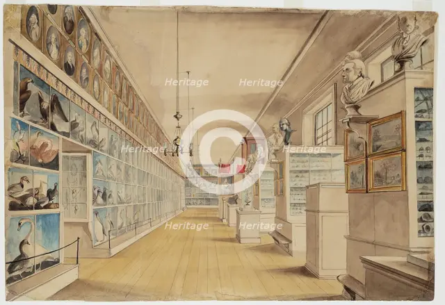 The Long Room, Interior of Front Room in Peale's Museum, 1822. Creators: Charles Willson Peale, Titian Ramsay Peale.