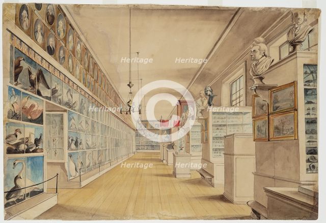 The Long Room, Interior of Front Room in Peale's Museum, 1822. Creators: Charles Willson Peale, Titian Ramsay Peale.