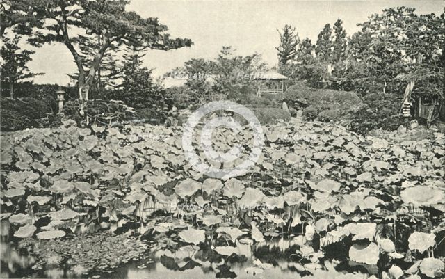 'The Lotus of Buddhism', 1891. Creator: Unknown.