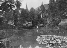The Lotus Pond, Hakgalla Gardens, Nuwara Eliya c1890, (1910). Artist: Alfred William Amandus Plate
