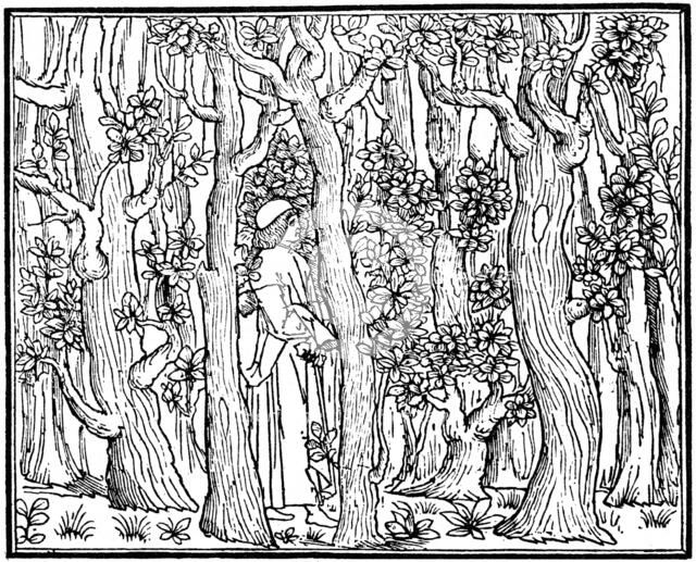 The Lover in the Wood, 1499 (1964). Artist: Anon