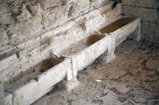 The public baths at Nemea, Greece. Artist: Samuel Magal