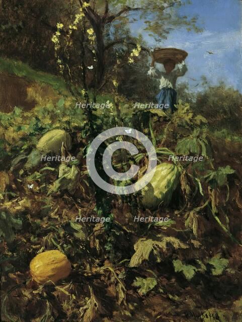 The pumpkin patch, 1862. Creator: August von Pettenkofen.