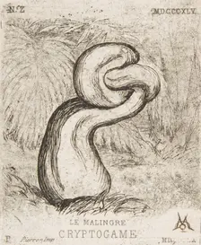 The puny Cryptogamia, 1860. Creator: Charles Meryon