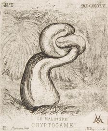 The puny Cryptogamia, 1860. Creator: Charles Meryon