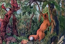 The Puzzled Fox 1872.Artist: Currier and Ives