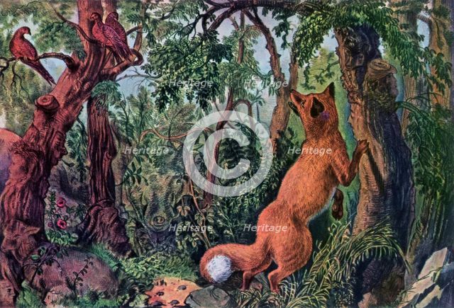 'The Puzzled Fox', 1872.Artist: Currier and Ives