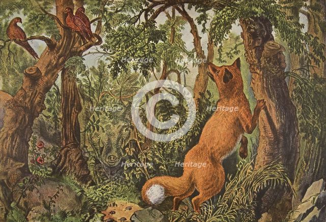 The Puzzled Fox, pub. 1872, Currier & Ives (Colour Lithograph)