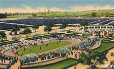 The Paddock at "Santa Anita", Los Angeles Turf Club, Arcadia, California 1930s. Creator: Unknown