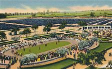 The Paddock at "Santa Anita", Los Angeles Turf Club, Arcadia, California 1930s. Creator: Unknown