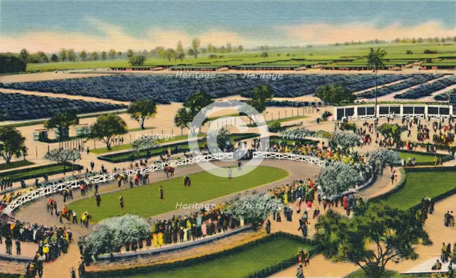 'The Paddock at "Santa Anita", Los Angeles Turf Club, Arcadia, California', 1930s.  Creator: Unknown.