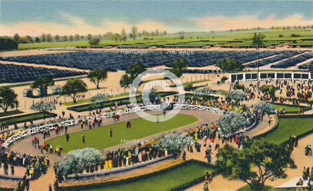'The Paddock at "Santa Anita", Los Angeles Turf Club, Arcadia, California', 1930s.  Creator: Unknown.