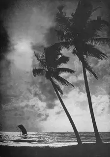 The Palm Fringed Shore at Sunset c1890, (1910). Artist: Alfred William Amandus Plate