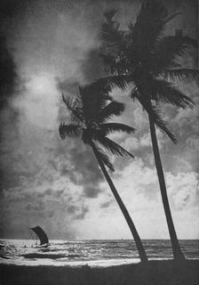 The Palm Fringed Shore at Sunset c1890, (1910). Artist: Alfred William Amandus Plate