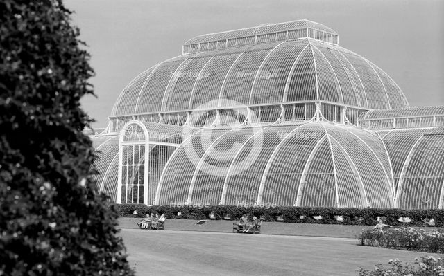 The Palm House, Kew Gardens, Greater London, 1945-1980. Artist: Eric de Maré