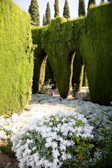 The Palacio de Generalife, Alhambra, Granada, Spain, 2007. Creator: Samuel Magal