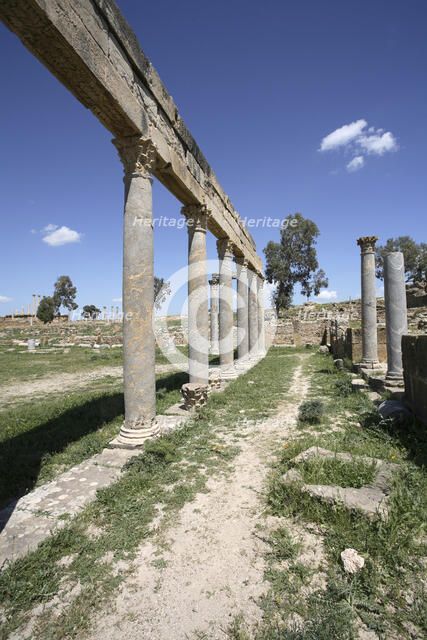 The Palaestra of Petronii, Thuburbo Majus, Tunisia. Artist: Samuel Magal