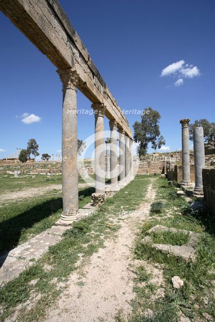 The Palaestra of Petronii, Thuburbo Majus, Tunisia. Creator: Samuel Magal.