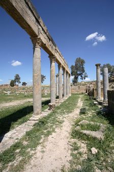 The Palaestra of Petronii, Thuburbo Majus, Tunisia. Creator: Samuel Magal