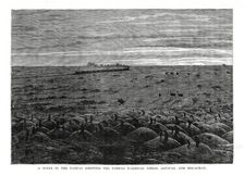 The Pampas railroad, South American lowlands, 1877