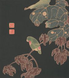 The Paroquet, ca. 1900. Creator: Ito Jakuchu