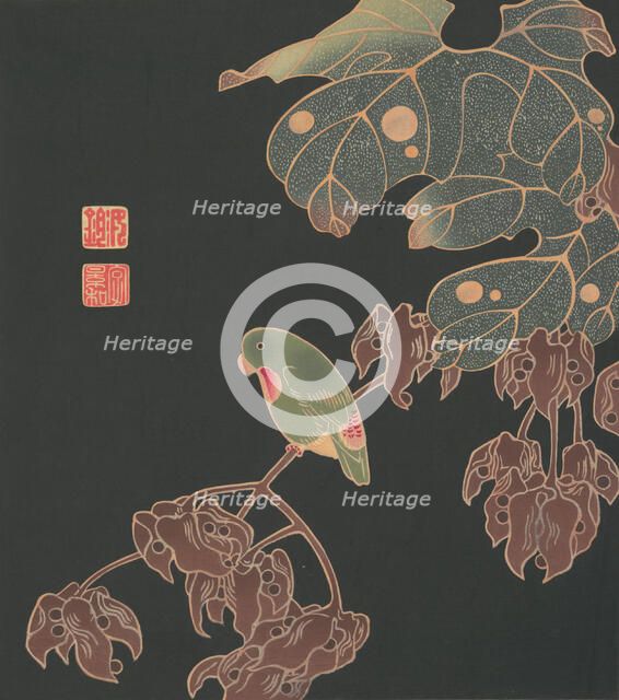 The Paroquet, ca. 1900. Creator: Ito Jakuchu.