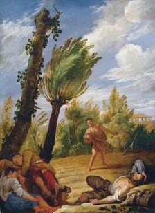 The Parable of the Wheat and the Tares, 1620s. Creator: Fetti, Domenico (1588/90-1623)