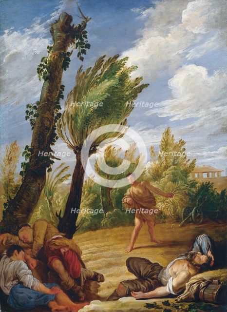 The Parable of the Wheat and the Tares, 1620s. Creator: Fetti, Domenico (1588/90-1623).