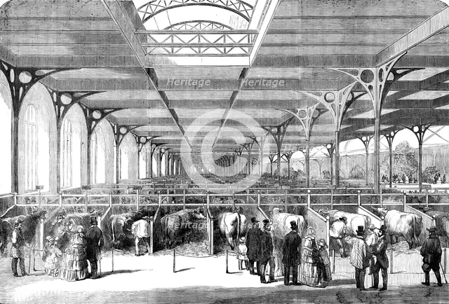 The Paris Agricultural Exhibition - the Cattle - general view, 1856.  Creator: Unknown.