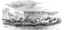 The Paris Hippodrome: seventeen horses driven by M. Marin, 1860. Creator: Harrison Weir