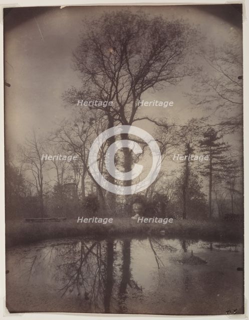 The Park at Sceaux [April 1925, 7a.m.], 1925. Creator: Eugène Atget (French, 1857-1927).