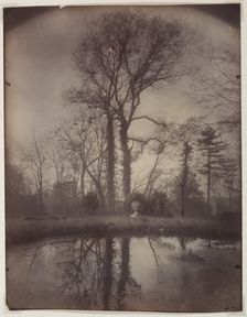 The Park at Sceaux [April 1925, 7a.m.], 1925. Creator: Eugène Atget (French, 1857-1927)