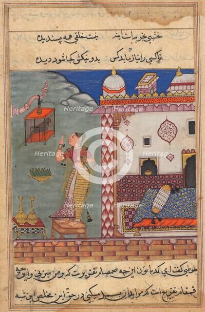 The parrot addresses Khujasta at the beginning of the twenty-seventh night, recto of folio 185...c15 Creator: Unknown.