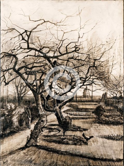 The Parsonage Garden at Nuenen in Winter. Artist: Gogh, Vincent, van (1853-1890)