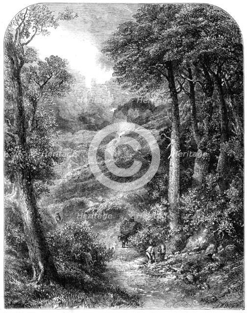 "The Path to Blackdown and the Surrey Highlands", by J. W. Weymper, from the exhibition of..., 1861. Creator: Unknown.