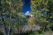 The Peak. Creator: Robert Manno