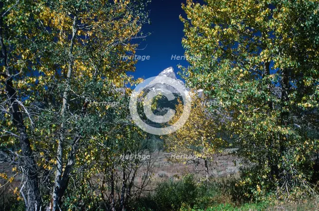 The Peak. Creator: Robert Manno.