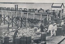 The Pearl Fishing Industry - Packing Shell 1923. Creator: Unknown
