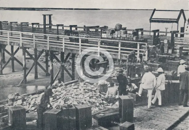 'The Pearl Fishing Industry - Packing Shell', 1923. Creator: Unknown.