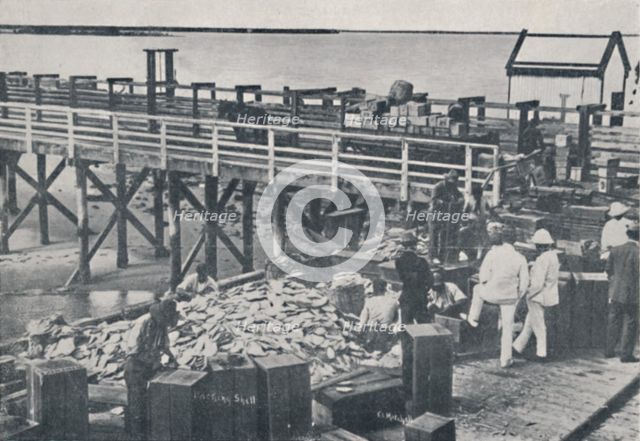 'The Pearl Fishing Industry - Packing Shell', 1923. Creator: Unknown.