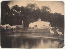 [The Pelicans and Greenhouses, Zoological Gardens, Brussels], 1854-56. Creator: Louis-Pierre-Théophile Dubois de Nehaut