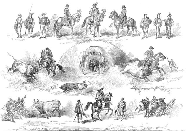The performers in the bull-fight at Lisbon, 1874. Creator: Unknown.