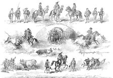 The performers in the bull-fight at Lisbon, 1874. Creator: Unknown