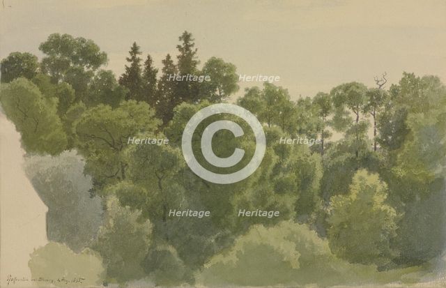 The Pfaffenstein near Arnsburg Monastery, 1865. Creator: Carl Theodor Reiffenstein.