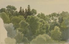 The Pfaffenstein near Arnsburg Monastery, 1865. Creator: Carl Theodor Reiffenstein