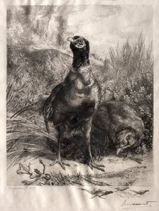The Pheasants, 1899. Creator: Félix Bracquemond (French, 1833-1914)