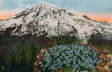 The Phlox on Mount Rainier c1916. Artist: Romans Photographic Company