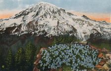 The Phlox on Mount Rainier c1916. Artist: Romans Photographic Company