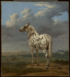 The Piebald Horse, about 1650-1654. Creator: Paulus Potter