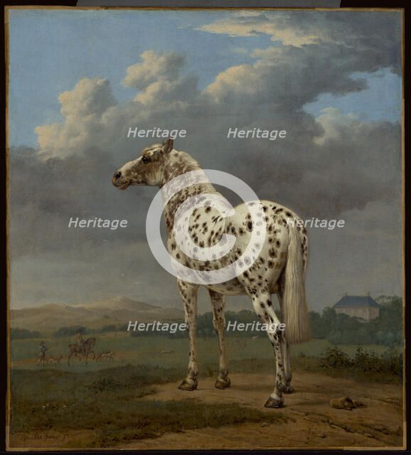 The Piebald Horse, about 1650-1654. Creator: Paulus Potter.